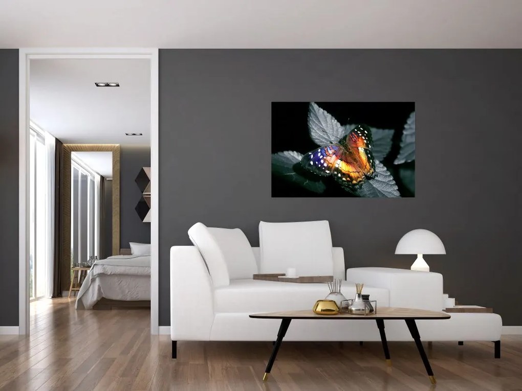 Tablou cu fluture (90x60 cm)