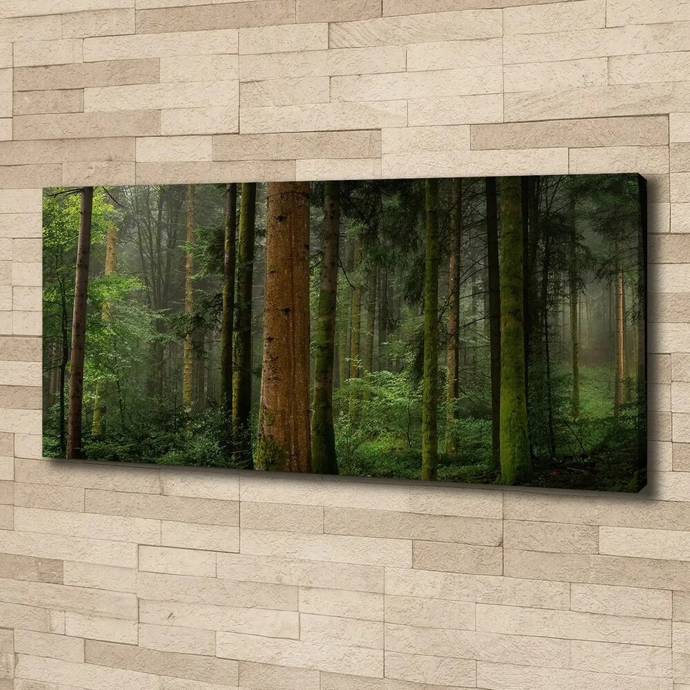 Tablou canvas Ceață în pădure