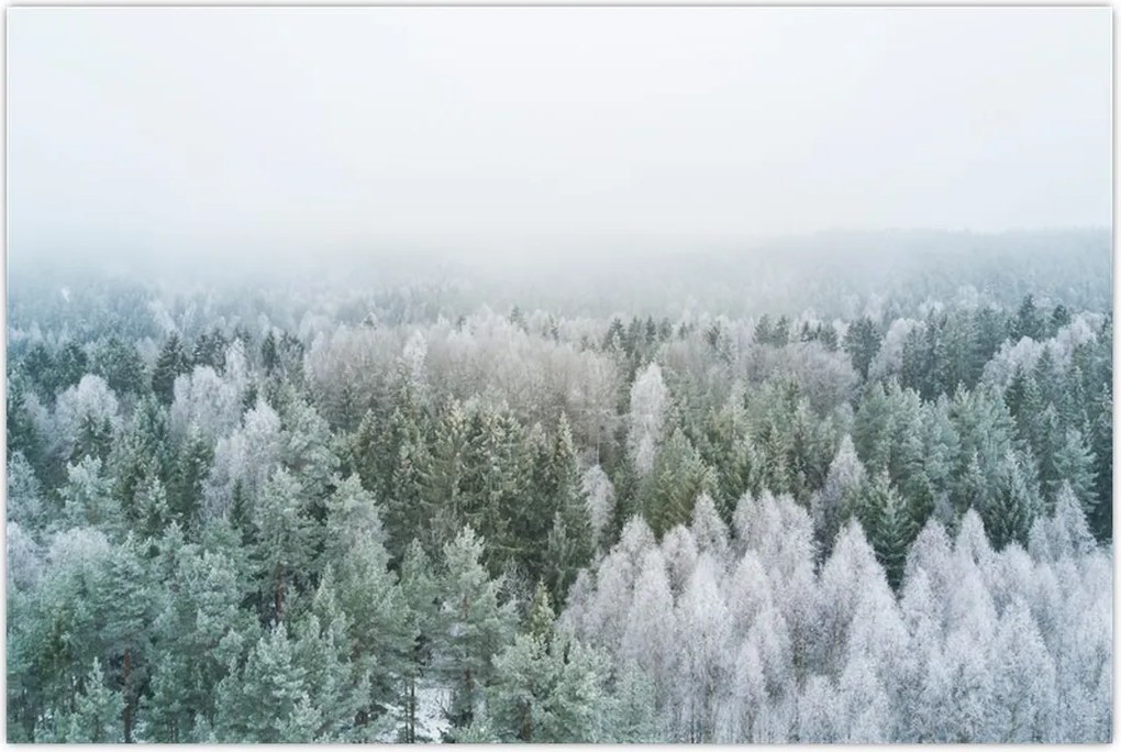 Tablou - Crestele munțillor înzăpezite (90x60 cm)
