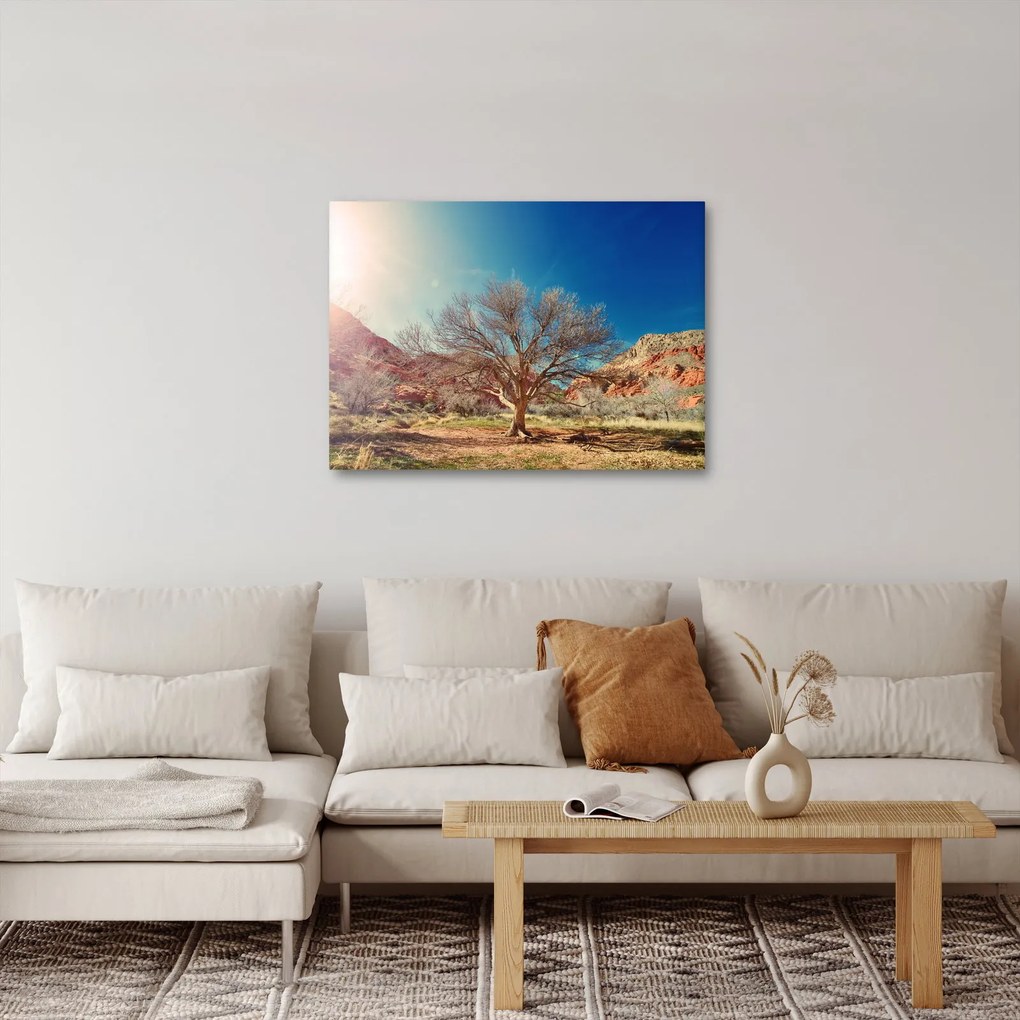 Tablou cu cu copac în deșert (70x50 cm)