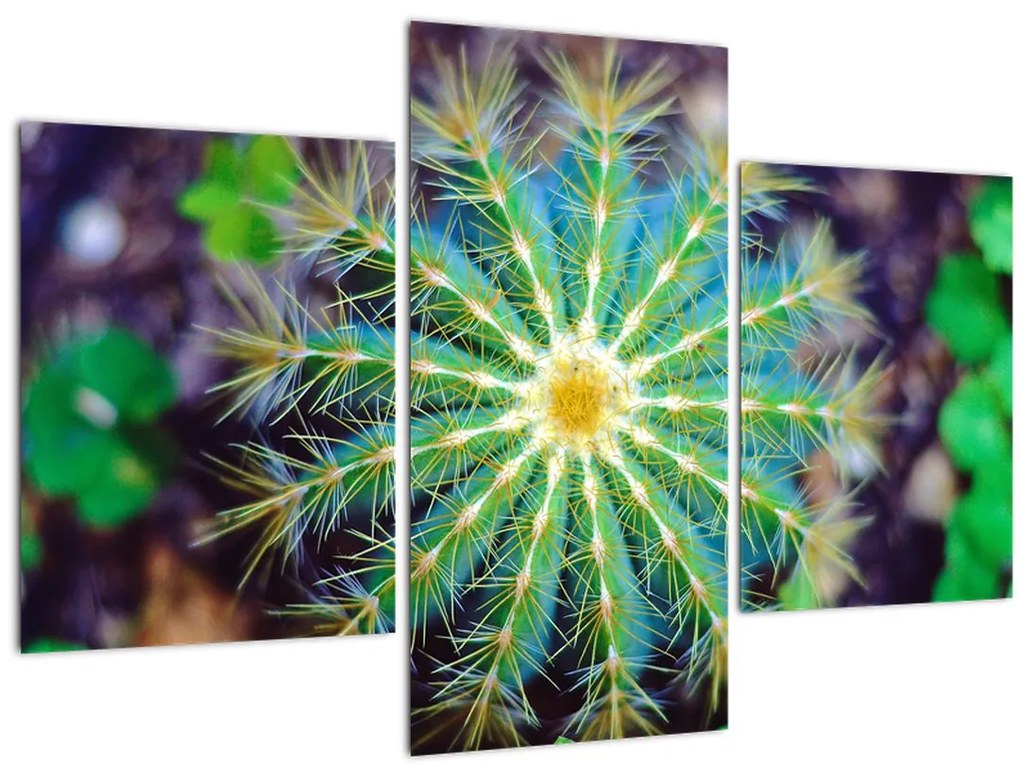 Tablou cu cactus (90x60 cm)
