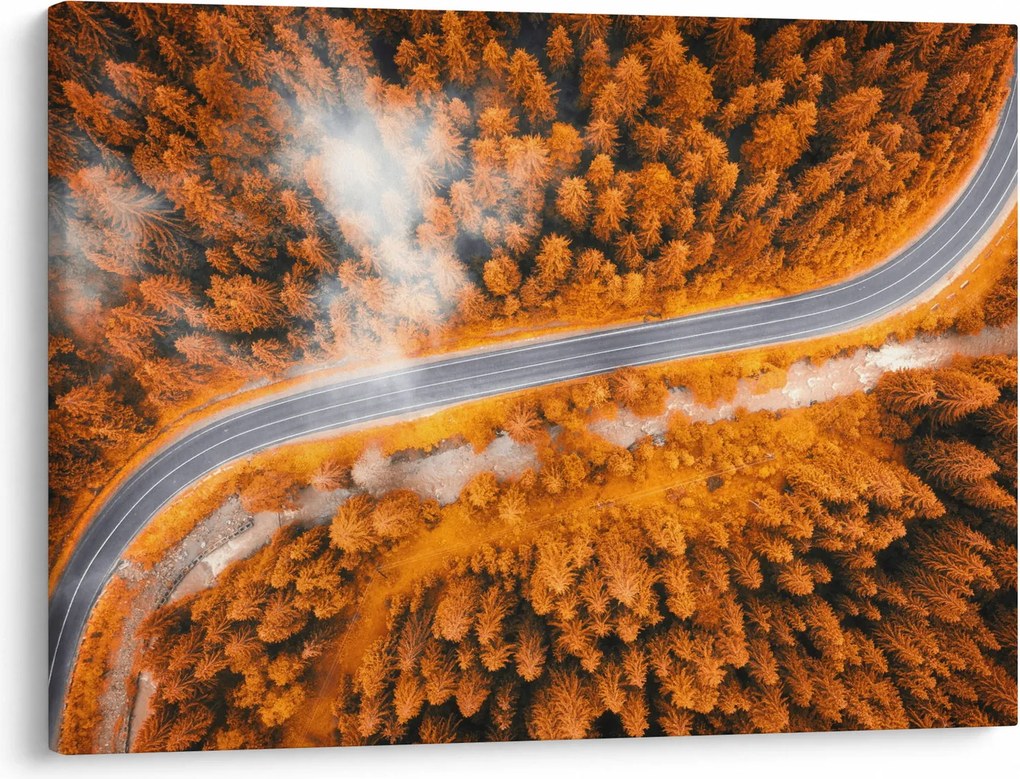 Tablou - Strada montană (70x50 cm)