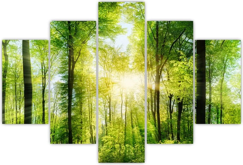 Tablou - Răsărit în pădure (150x105 cm)