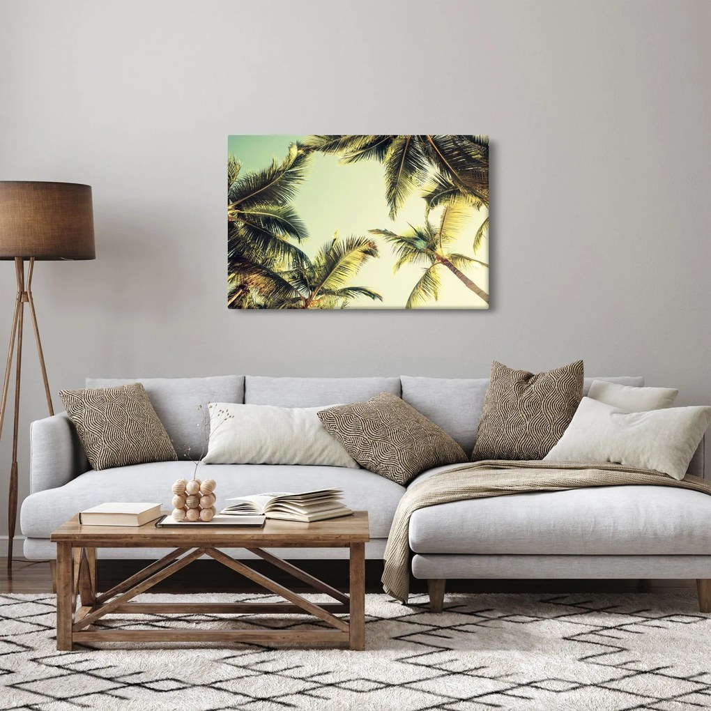 Tablou - Palmieri de cocos (90x60 cm)