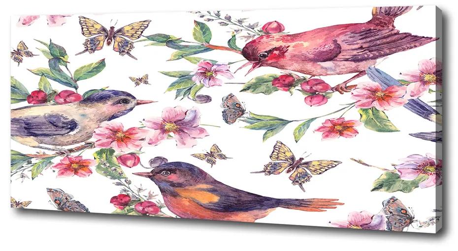 Imprimare tablou canvas Păsări fluturi cireșe