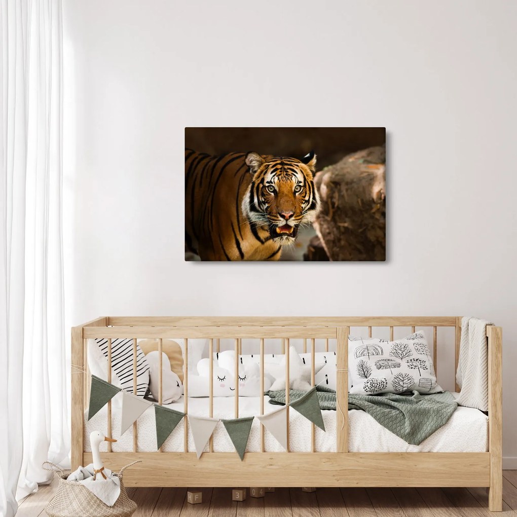 Tablou cu tigrul (90x60 cm)