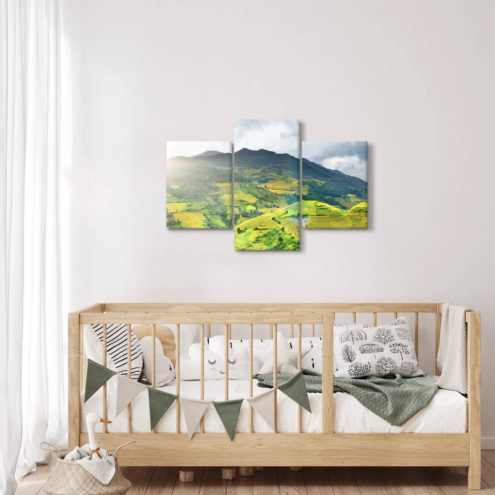 Tablou plantație (90x60 cm)