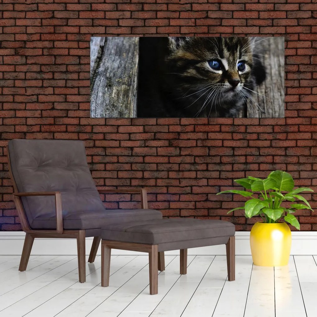 Tablou cu pisicuța (120x50 cm)
