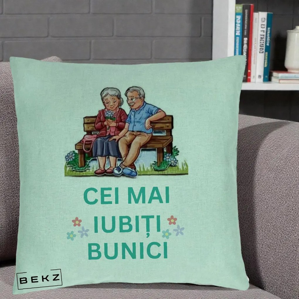 Cadou pentru Bunici - Perna Personalizata Cei Mai Iubiti Bunici Cuplu pe Banca Ilustratie, 40x40 cm, Verde Menta, Husa Detasabila, Perna Inclusa, BEKZ®