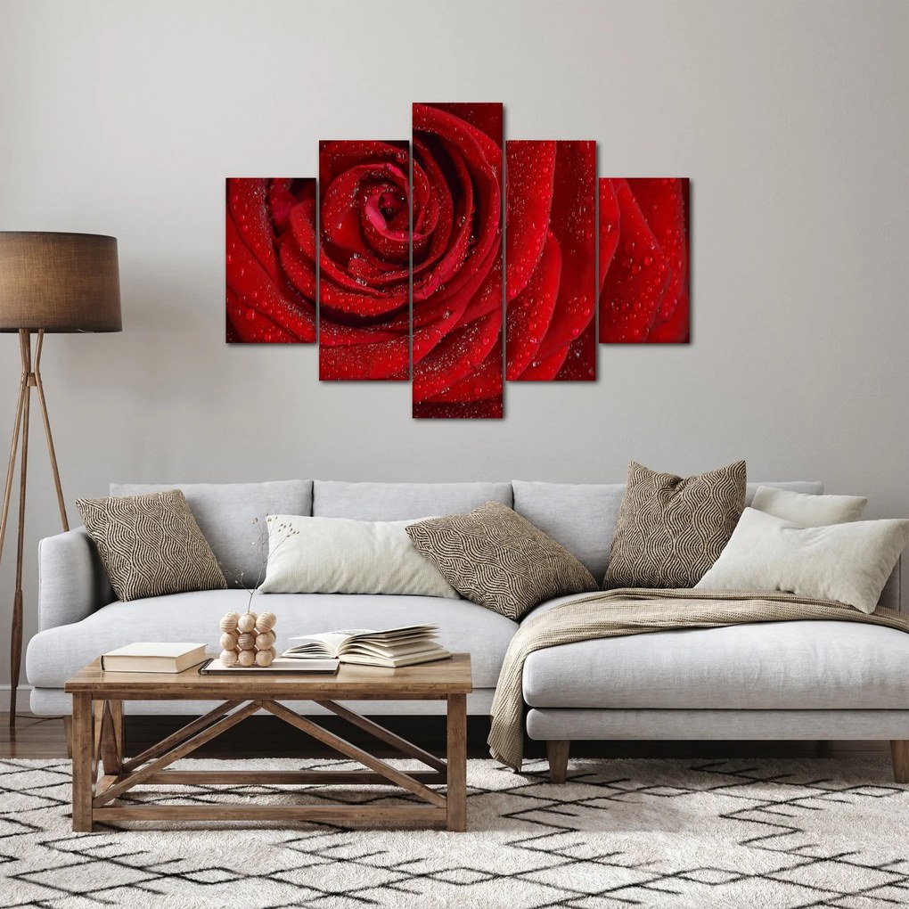 Tablou - detaliu de trandafir (150x105 cm)