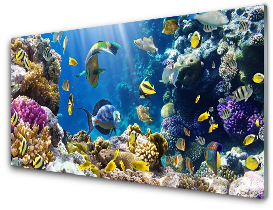 Tablouri acrilice Coral Reef Natura Multi