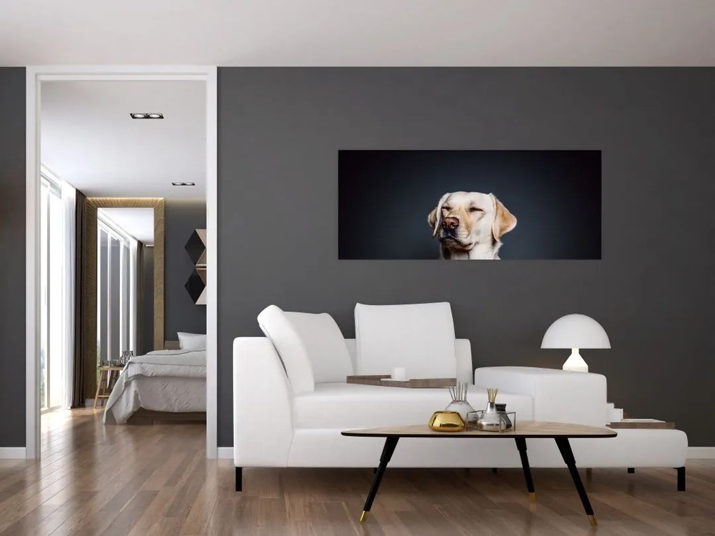 Tablou cu labrador (120x50 cm)