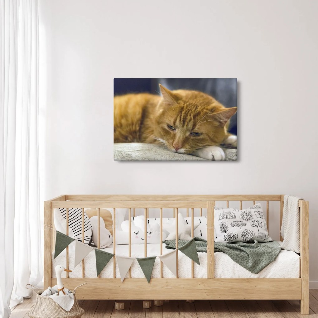 Tabloul pisicii (90x60 cm)