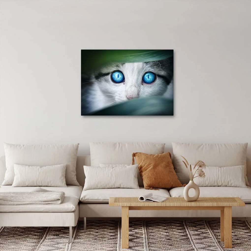 Tablou cu pisica (70x50 cm)