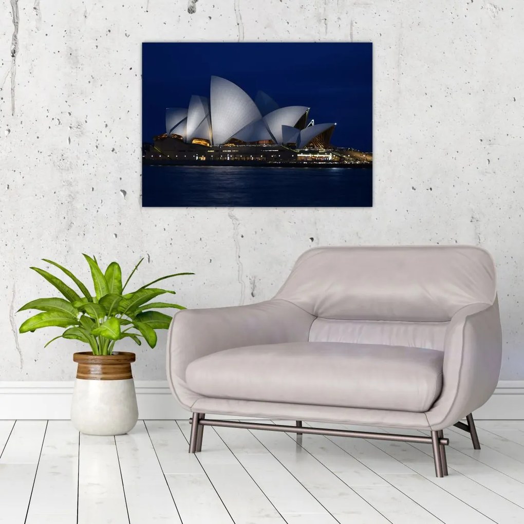 Tabloul Sydney nocturn (70x50 cm)