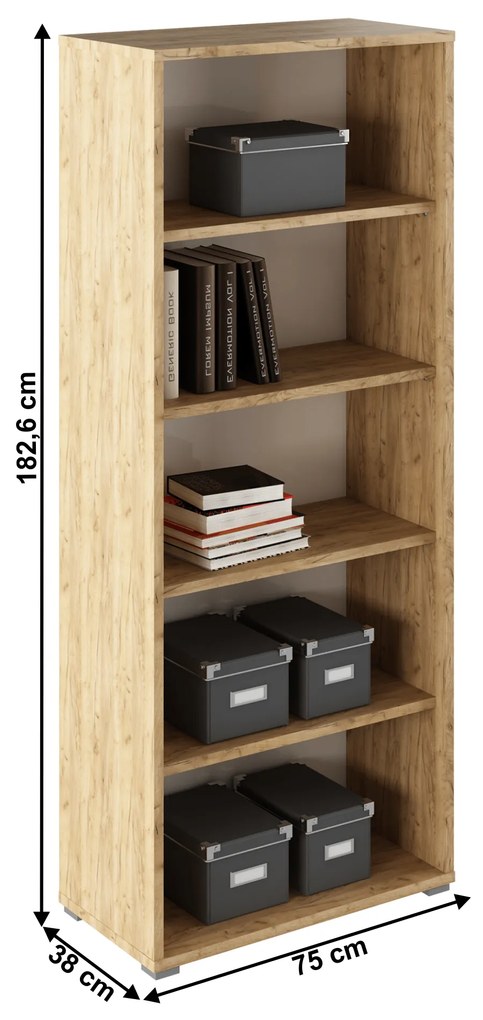 Raft deschis,stejar artizan/alb, RIOMA TYP 03
