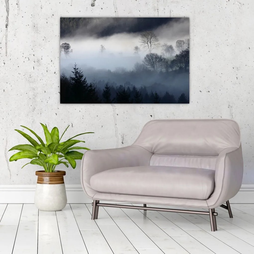 Tablou cu ceță deasupra pădurii (90x60 cm)