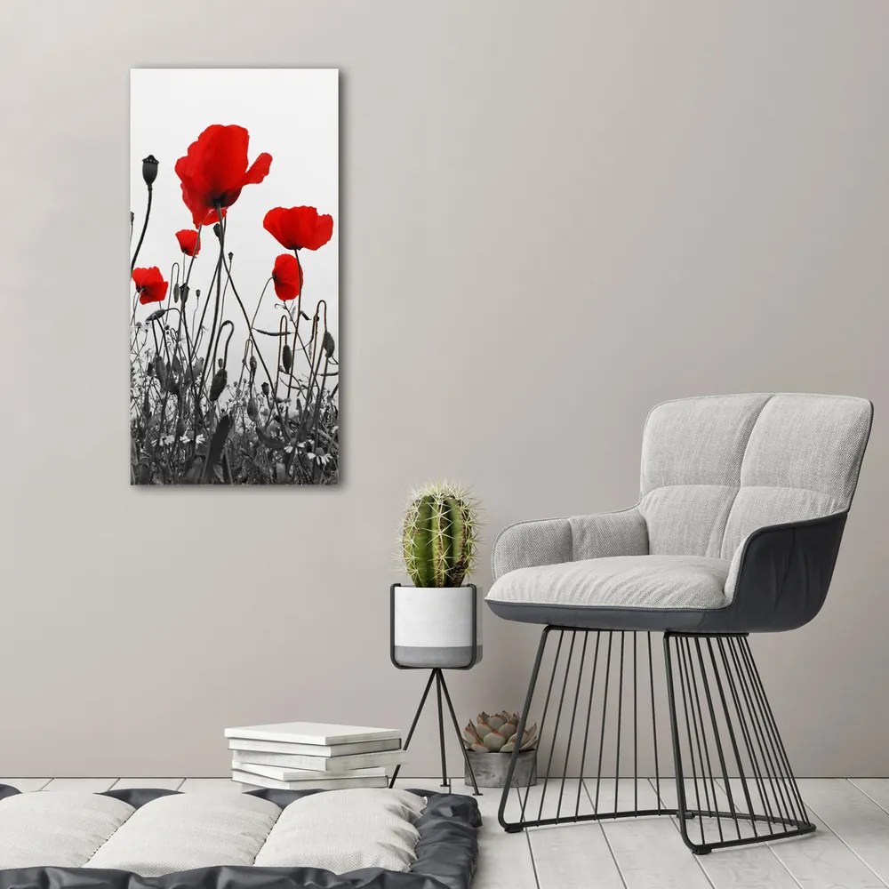 Tablou canvas Wildflowers maci