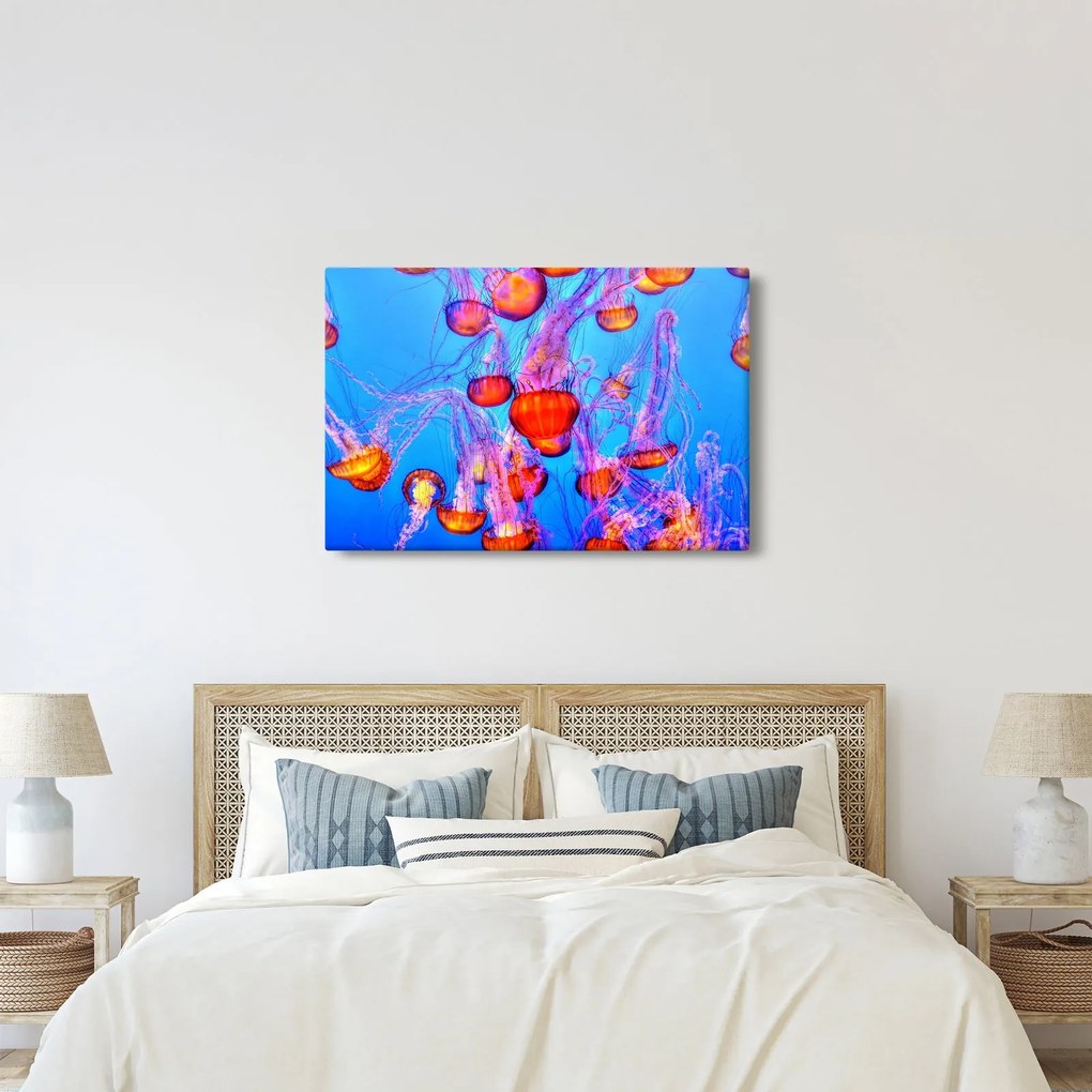 Tablou cu meduse în mare (90x60 cm)