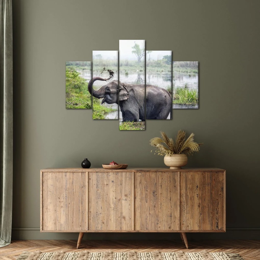 Tablou - Elefant de scăldat (150x105 cm)