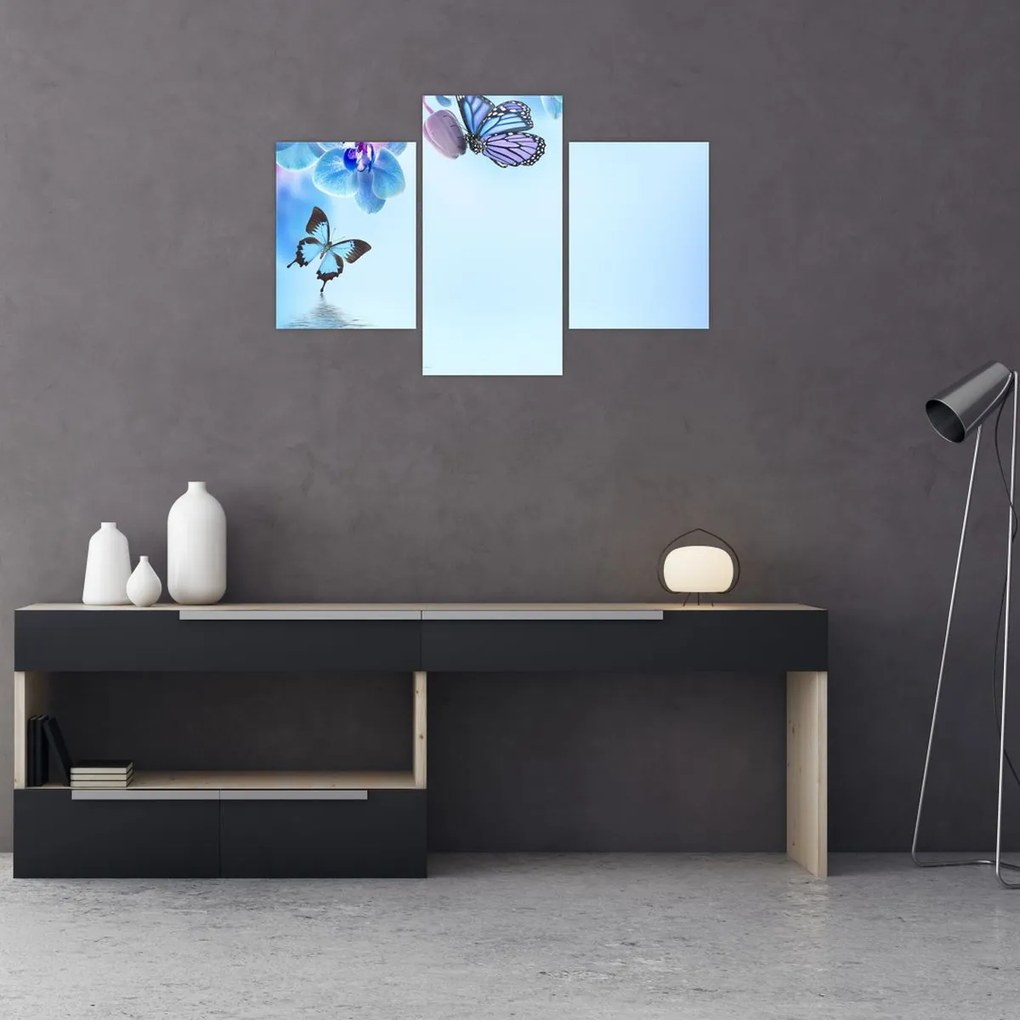 Tablou - Fluture pe flori de orhidee, albastru (90x60 cm)
