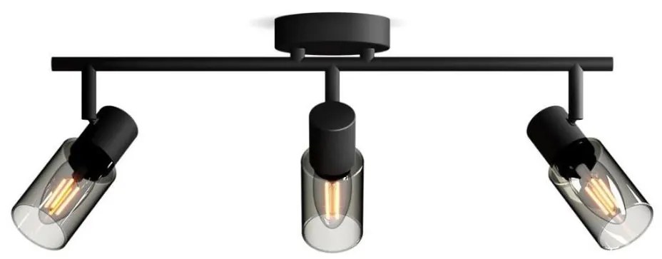 Spot Philips PALMS 3xE14/25W/230V