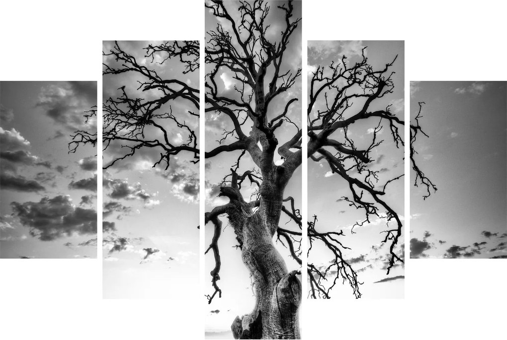 Tablou - Copacul, alb-negru (150x105 cm)