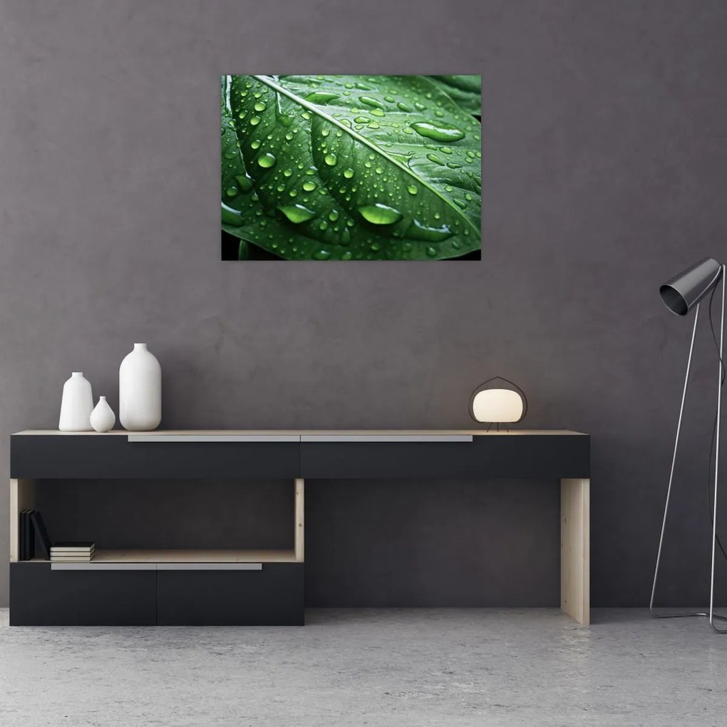 Tablou pe sticlă - Detaliu de frunze după ploaie (70x50 cm)