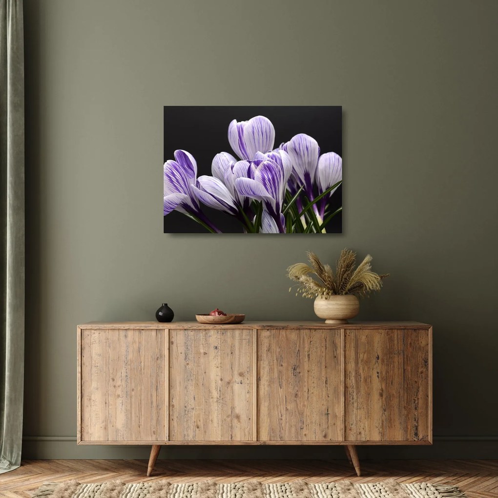 Tablou pe sticlă - Crocus violet (70x50 cm)