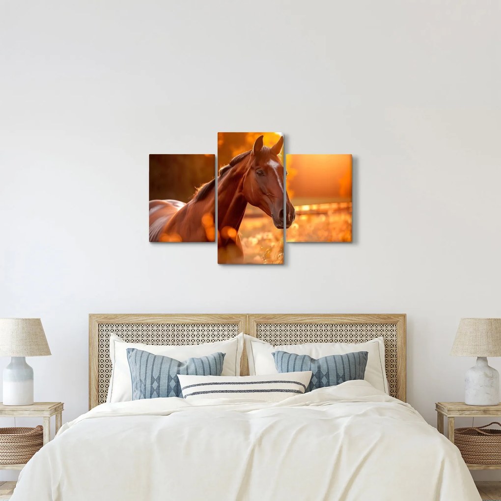 Tablou - Cal în apus de soare (90x60 cm)