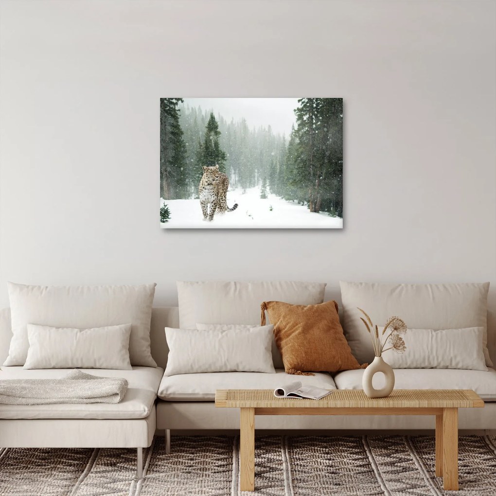 Tablou cu leopard în zăpadă (70x50 cm)