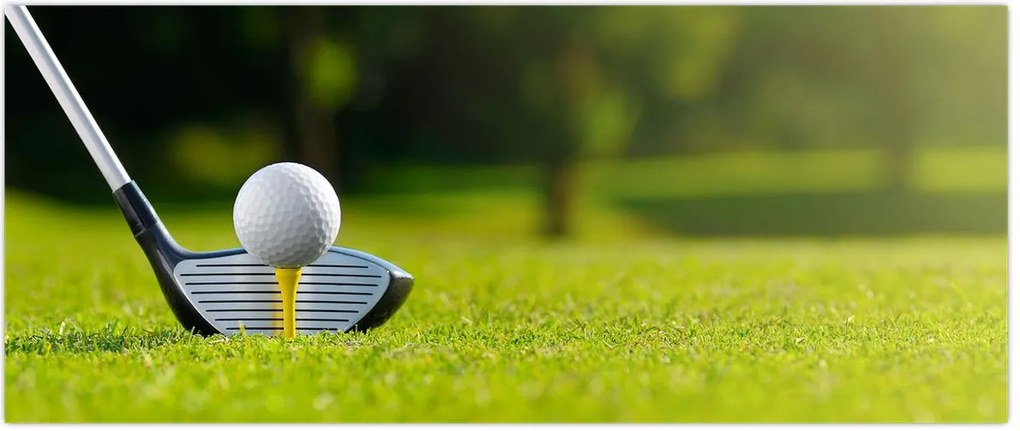 Tablou - Golf (120x50 cm)
