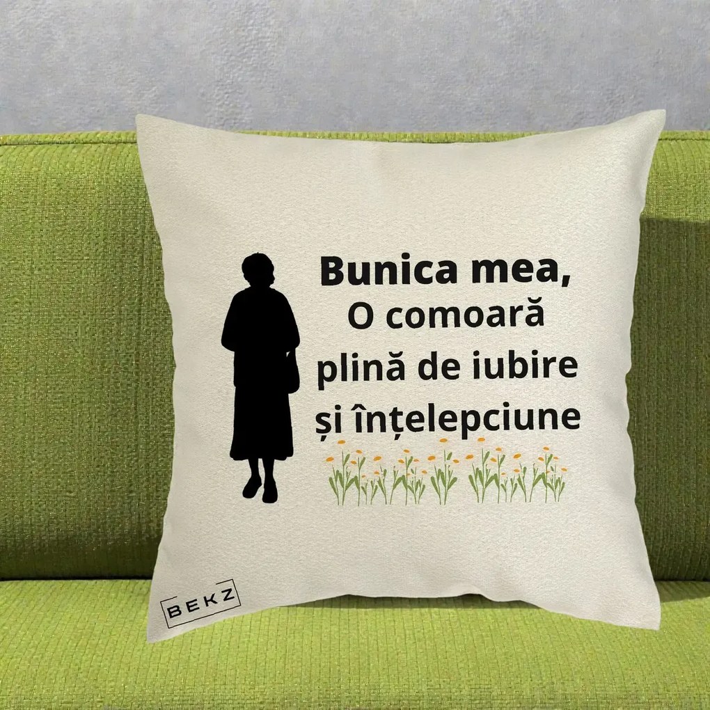 Cadou pentru Bunica - Perna Personalizata Bunica Mea Comoara Iubire Intelepciune Silueta cu Nepoata, 40x40 cm, Ecru, Husa Detasabila, Perna Inclusa, BEKZ®