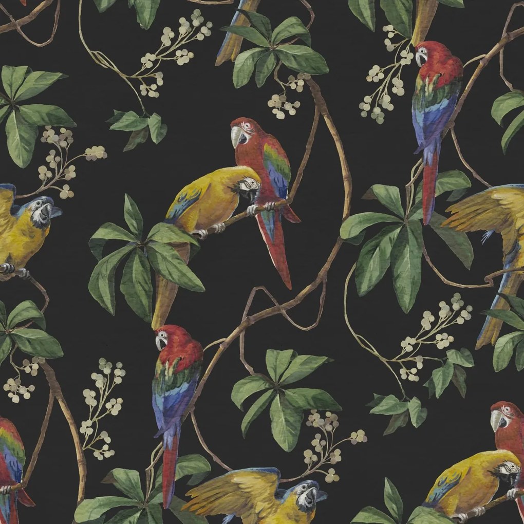 Fototapet, Parrots, Midnight, Rebel Walls