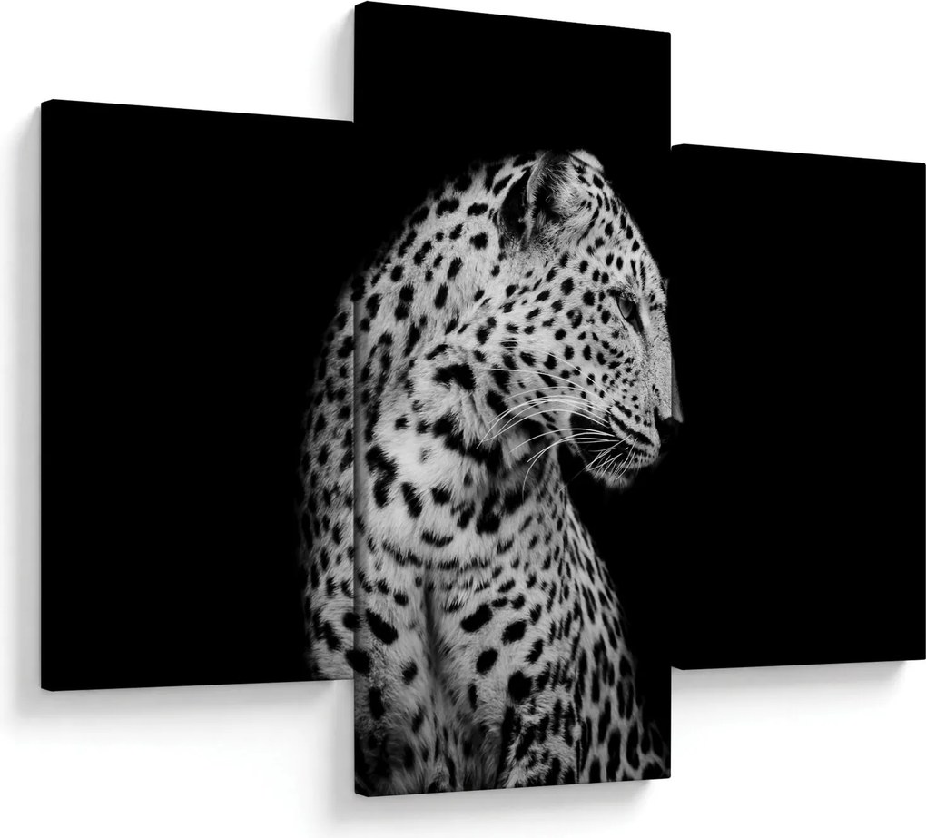 Tablou - Leopardul (90x60 cm)