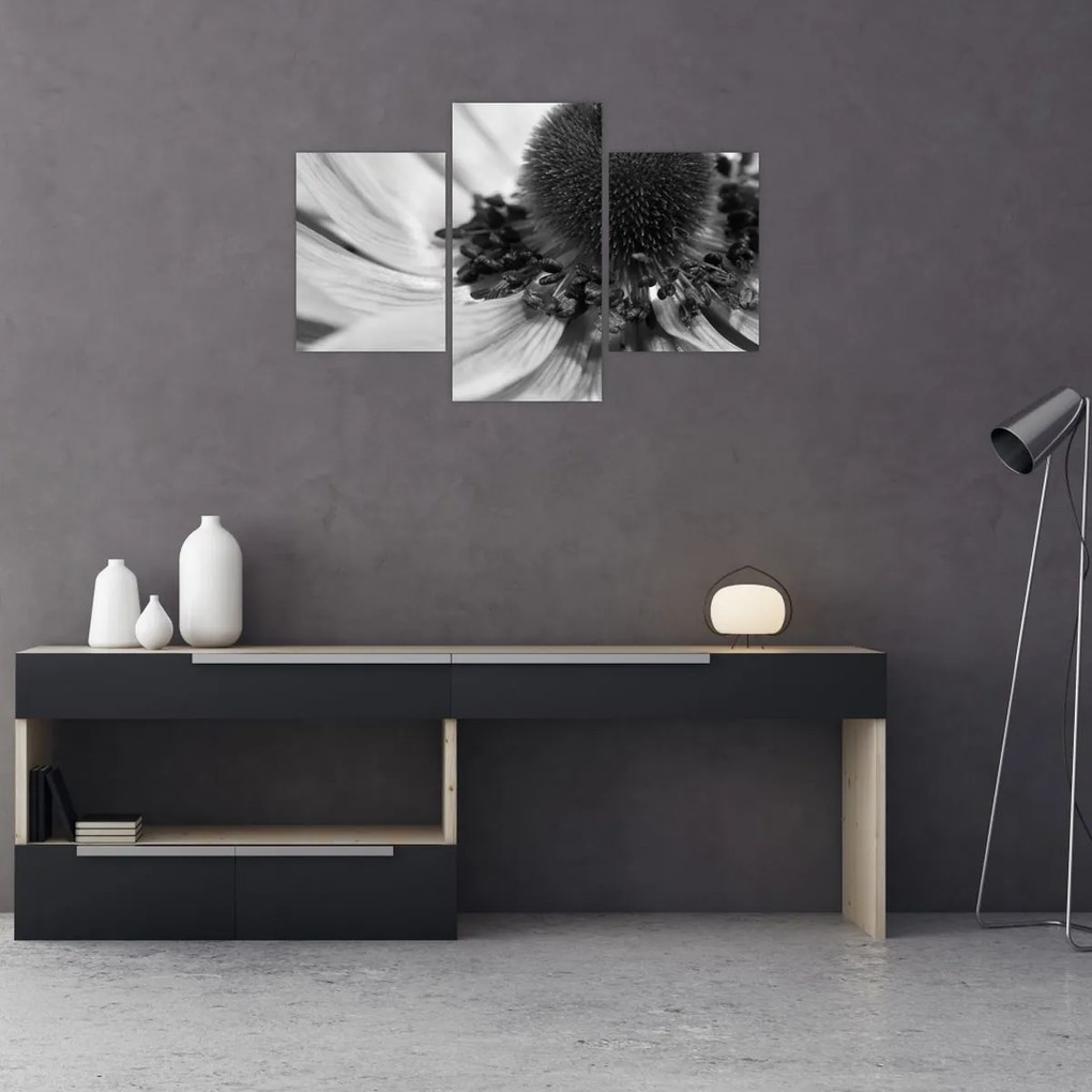 Tablou - Floare în alb-negru (90x60 cm)