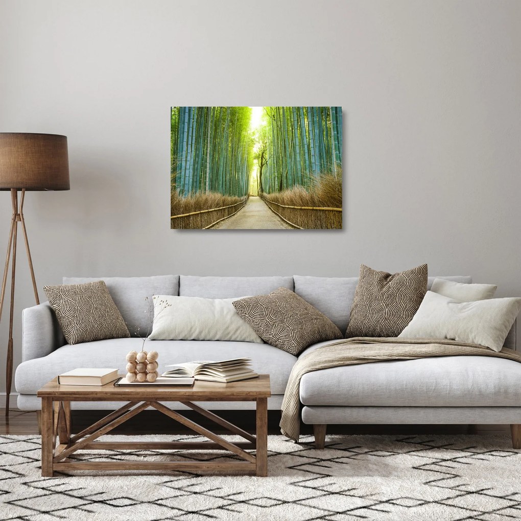 Tablou pe sticlă - Pădure de bambus (70x50 cm)