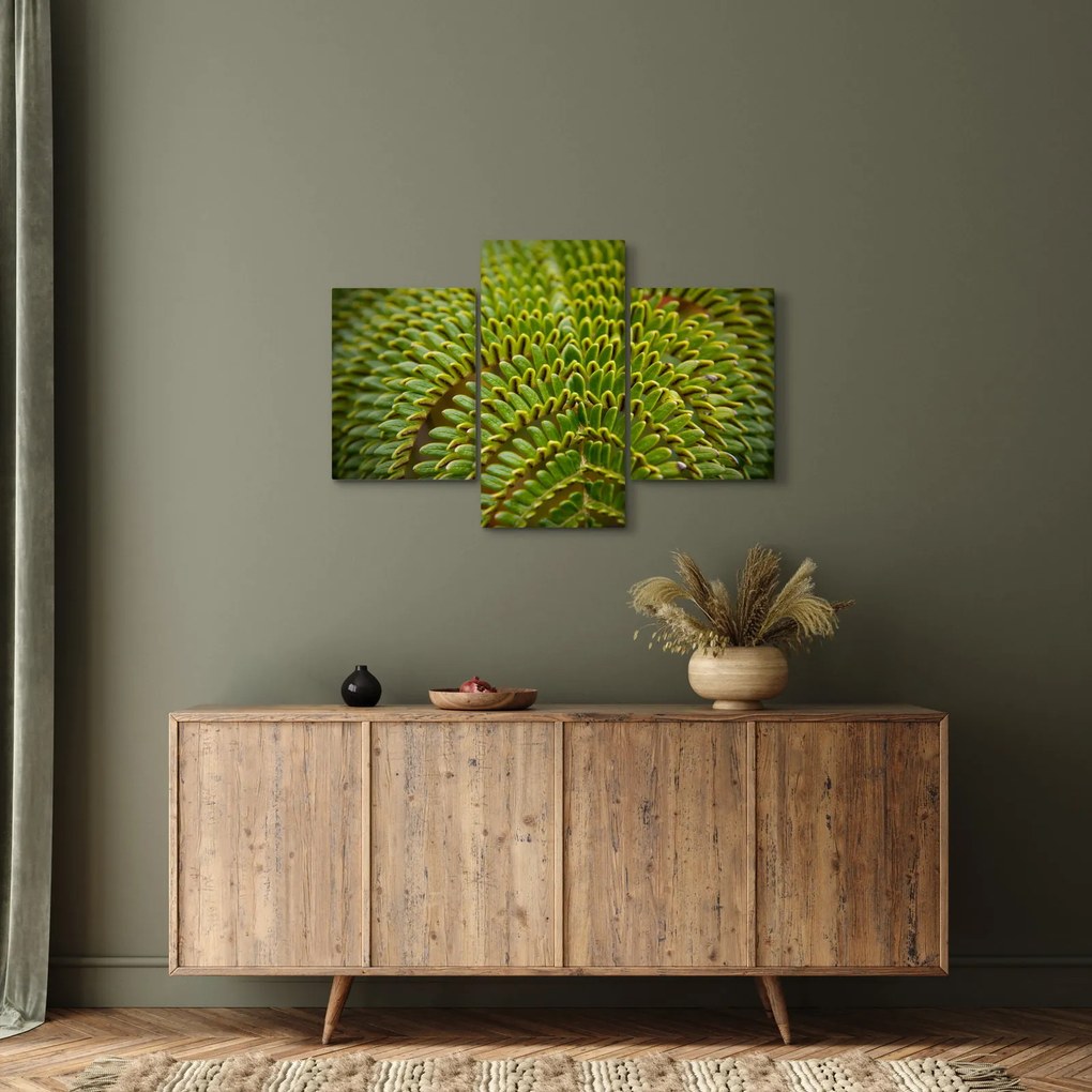 Tablou - Fern (90x60 cm)