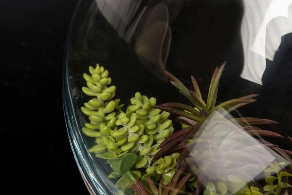 Aranjament floral mediu design LUX OVAL FAT PLANT