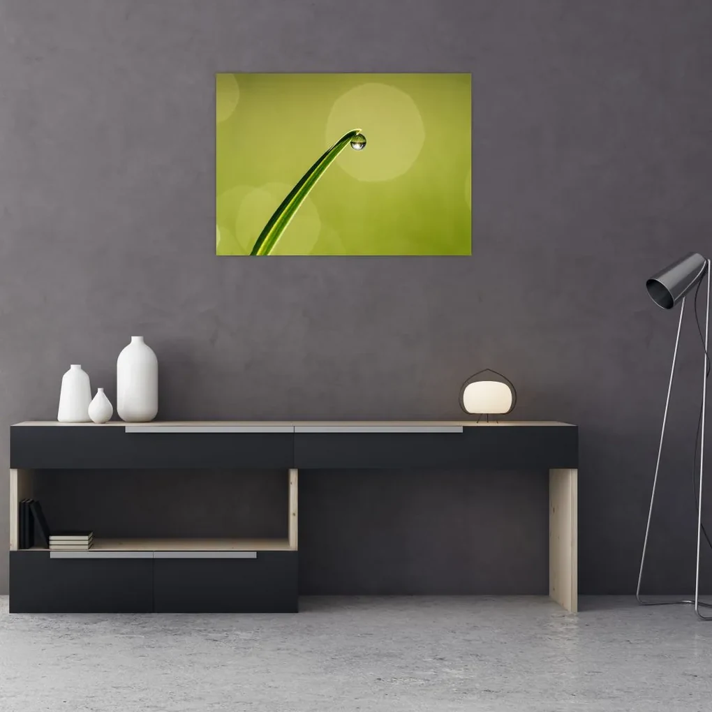 Tablou cu picătură de apă pe iarbă (70x50 cm), în 40 de alte dimensiuni noi