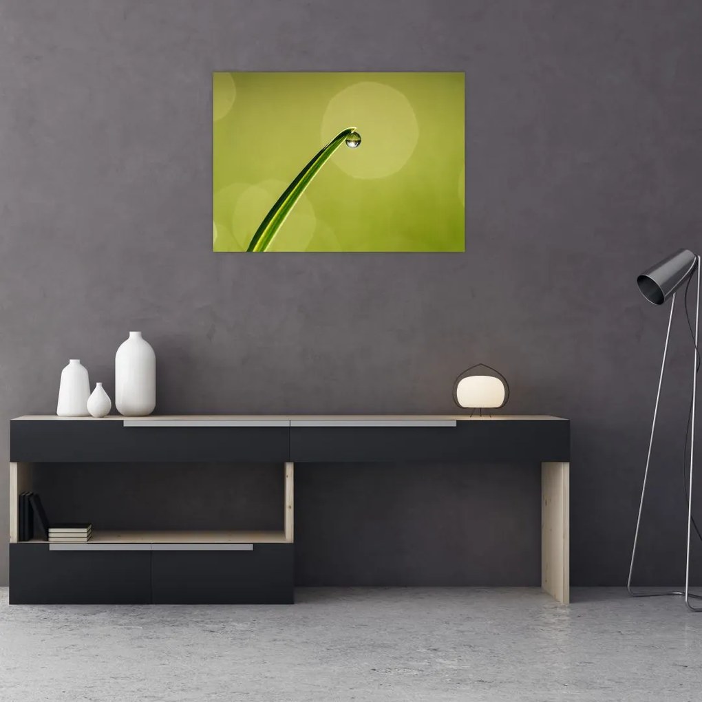 Tablou cu picătură de apă pe iarbă (70x50 cm)