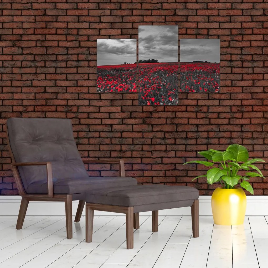 Tablou cu maci (90x60 cm)