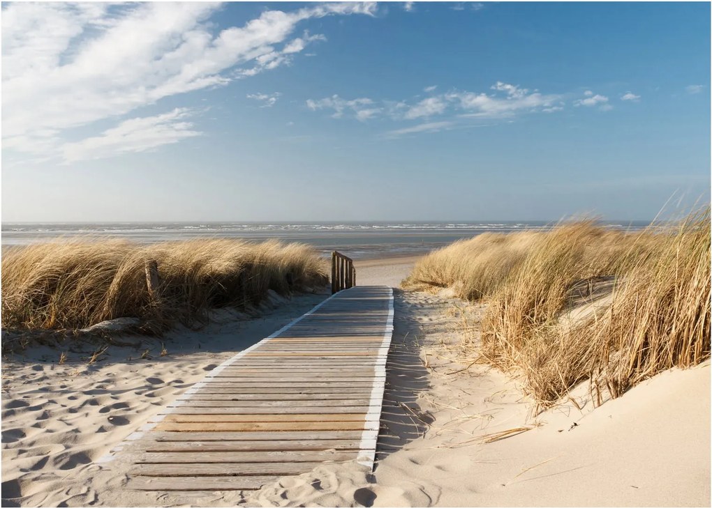 Tablou - Plaja cu nisip de pe insula Langeoog, Germania (70x50 cm)