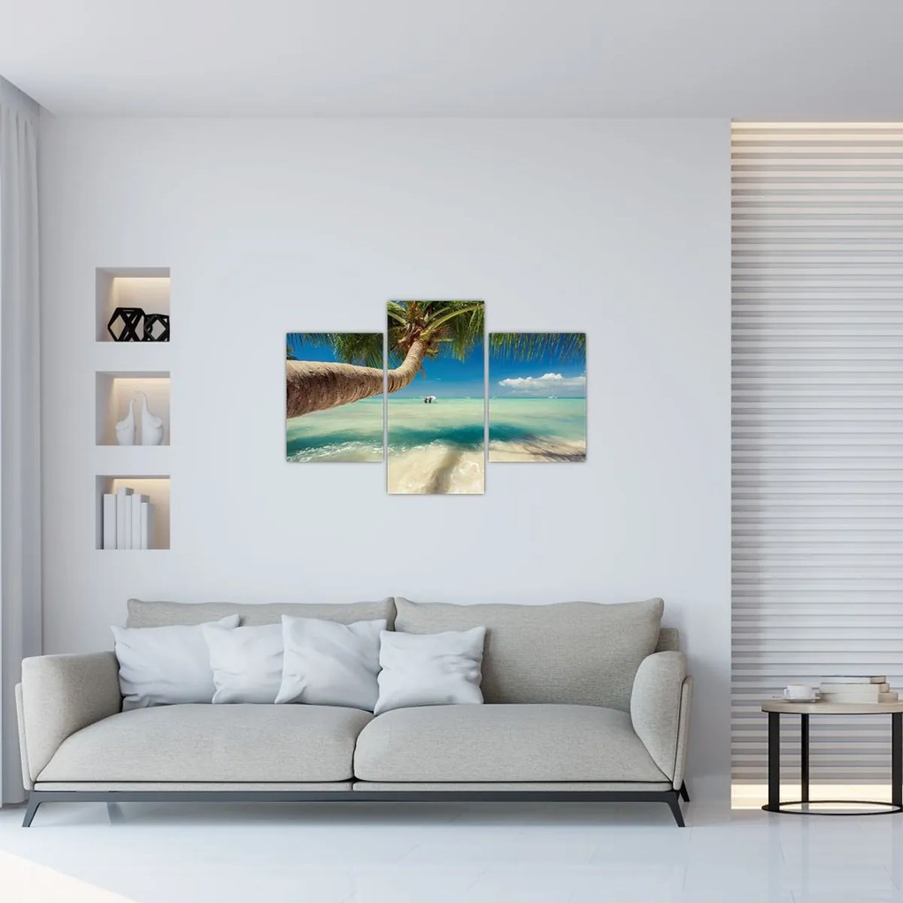 Tablou - Mare curată cu palmier (90x60 cm)