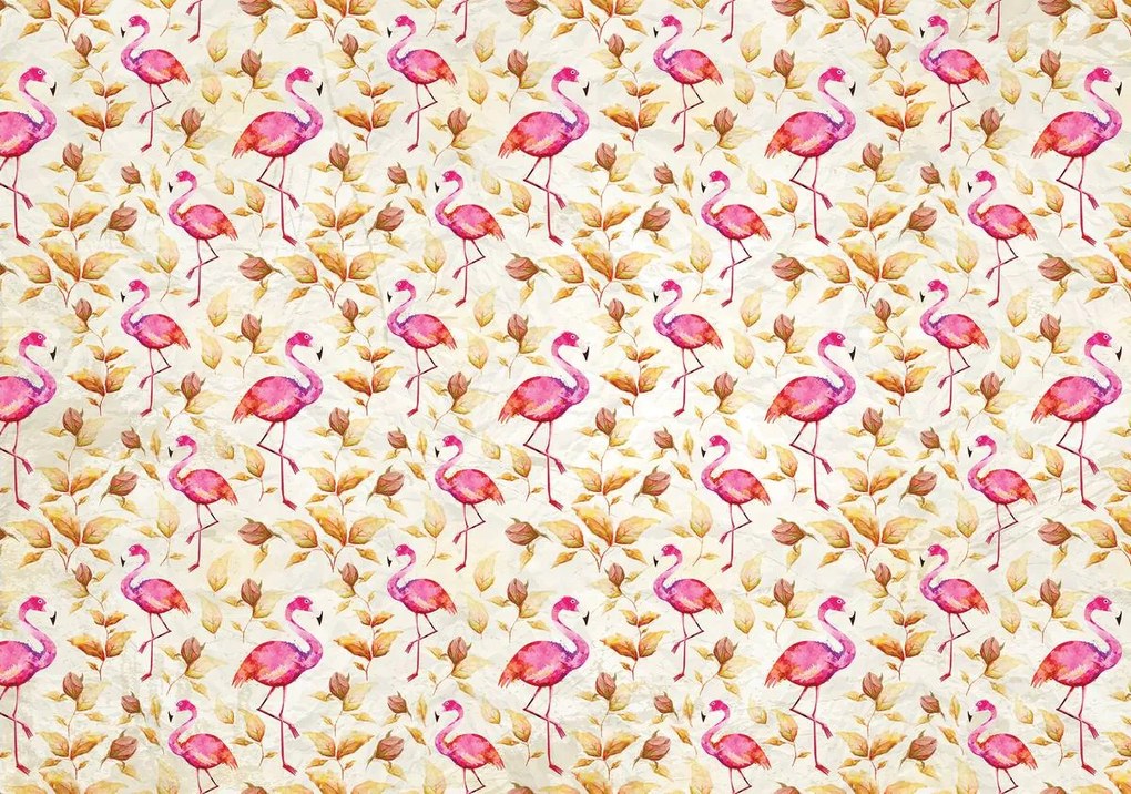 Fototapet - Flamingo (254x184 cm)