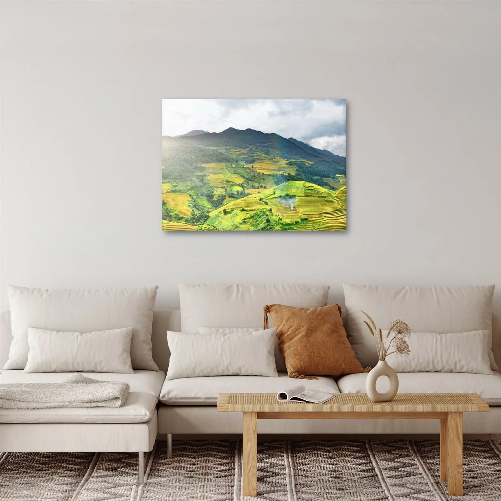 Tablou plantație (70x50 cm)