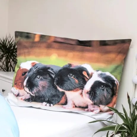 Animale Set de lenjerie de pat cu porcușor de Guineea 140×200cm, 70×90 cm