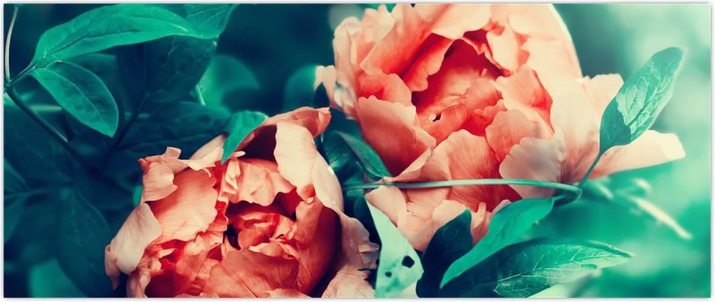 Tablou - Flori de primăvară (120x50 cm)