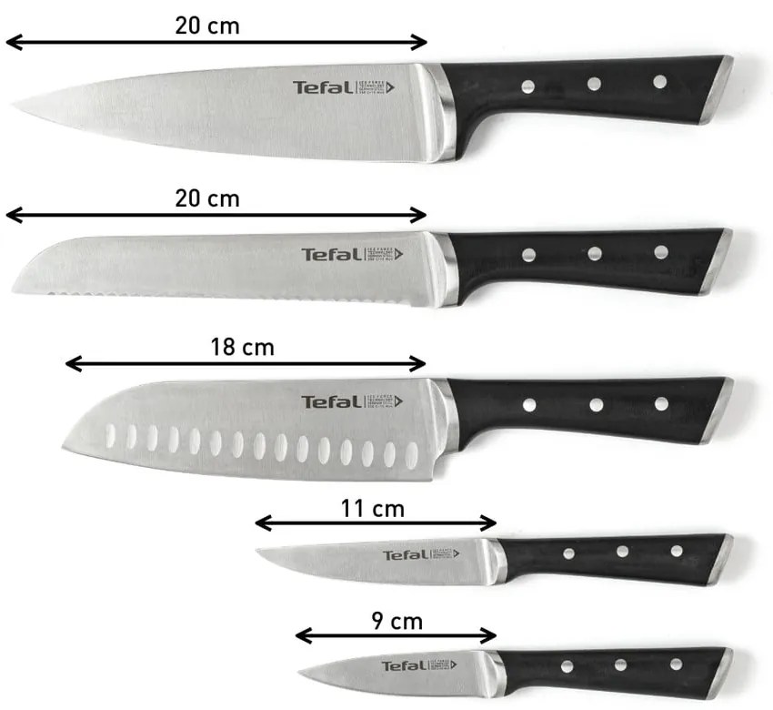 Bloc cu 5 cuțite Ice Force - Tefal