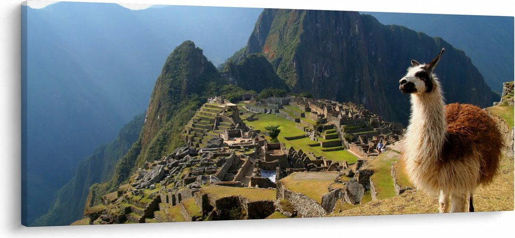 Tablou - Lama și Machu Picchu (120x50 cm)